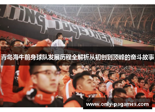 青岛海牛前身球队发展历程全解析从初创到顶峰的奋斗故事 青岛海牛前身球队发展历程全解析从初创到顶峰的奋斗故事