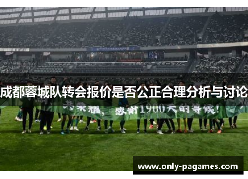 成都蓉城队转会报价是否公正合理分析与讨论