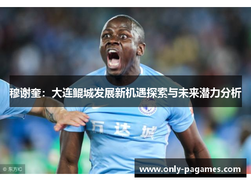 穆谢奎:大连鲲城发展新机遇探索与未来潜力分析 穆谢奎:大连鲲城发展新机遇探索与未来潜力分析