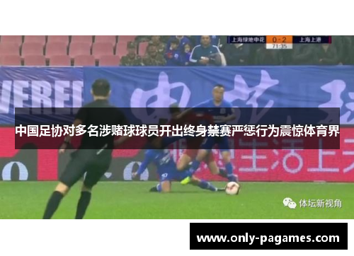 中国足协对多名涉赌球球员开出终身禁赛严惩行为震惊体育界
