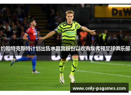 约翰特克斯特计划出售水晶宫股份以收购埃弗顿足球俱乐部 约翰特克斯特计划出售水晶宫股份以收购埃弗顿足球俱乐部